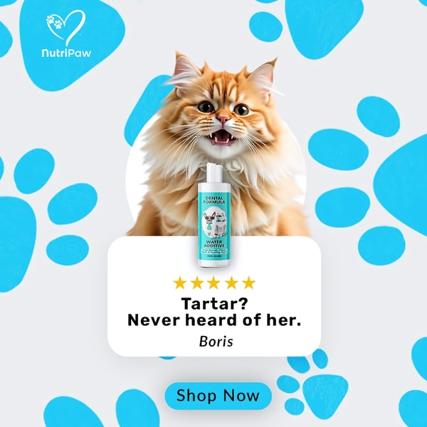 A square-ratio ad featuring a pet testimonial and dental product shot, utilizing a clean, blue-toned paw-print background for brand recognition.